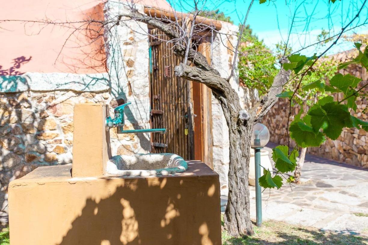 B&B Pettirosso Garden San Teodoro  Bagian luar foto