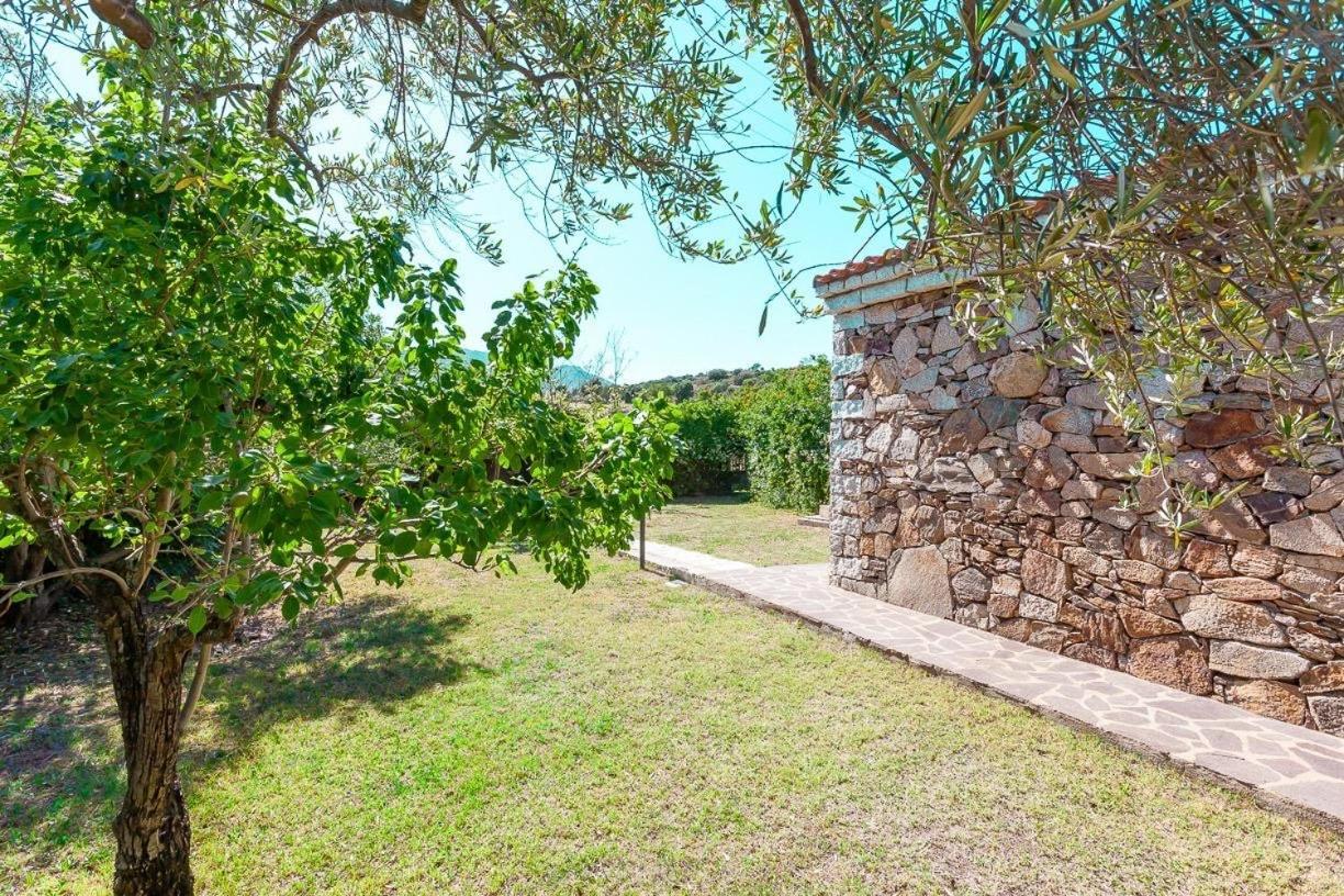 B&B Pettirosso Garden San Teodoro  Bagian luar foto