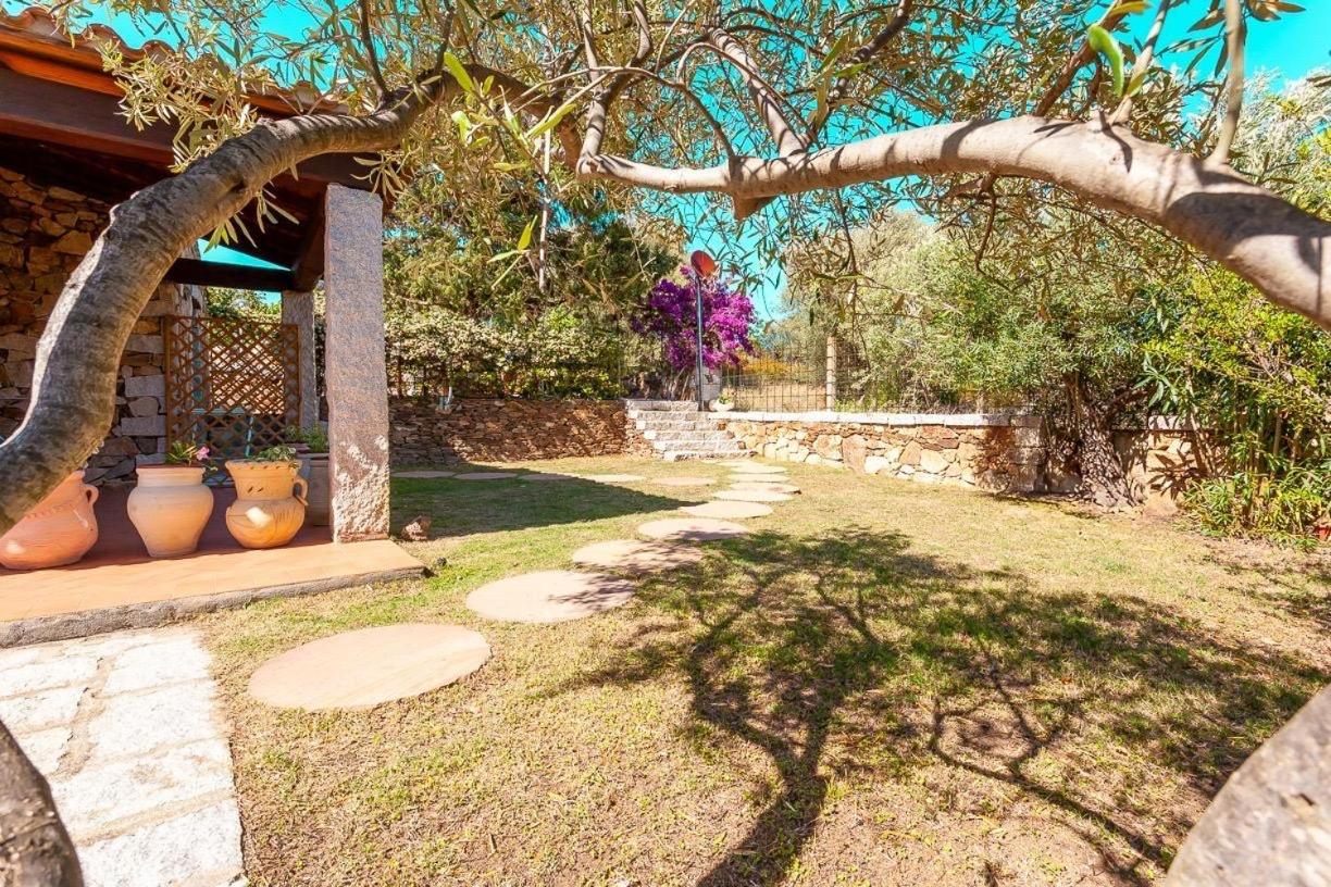 B&B Pettirosso Garden San Teodoro  Bagian luar foto