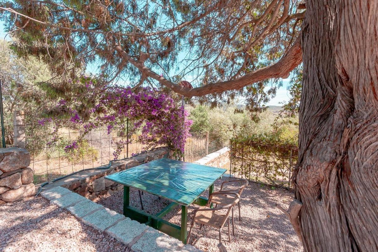 B&B Pettirosso Garden San Teodoro  Bagian luar foto