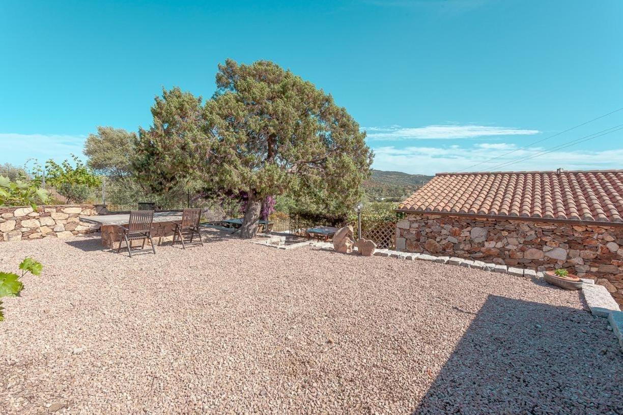 B&B Pettirosso Garden San Teodoro  Bagian luar foto